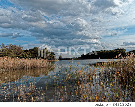溜池風景 溜池風景 84215028