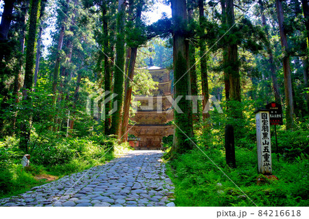 羽黒山・出羽神社・杉並木越しに眺める羽黒山五重塔・東北・山形県鶴岡市(1) 84216618