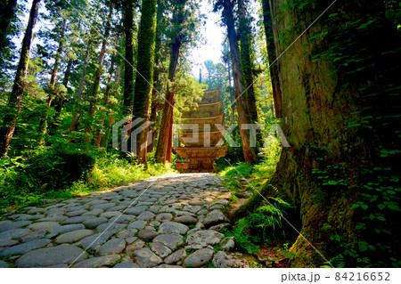 羽黒山・出羽神社・修行の地らしい杉並木の中に立つ、神々しい羽黒山五重塔・東北・山形県鶴岡市(13) 84216652