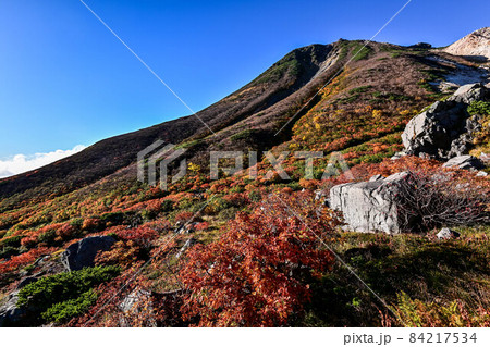 錦秋の白山お花松原 84217534