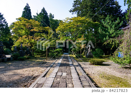 新潟県内最古の名刹 国上寺(こくじょうじ)参道 新潟県内最古の名刹 国上寺(こくじょうじ)参道 84217823