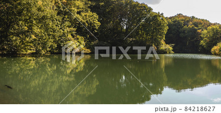 多摩センターの人工池 84218627
