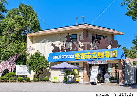 兵庫県姫路市 快晴の姫路市立動物園 兵庫県姫路市 快晴の姫路市立動物園 84218928
