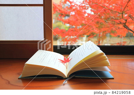 読書の秋イメージⅠ 84219058