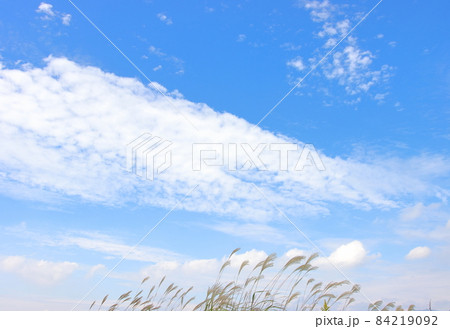 すすきと秋の空 84219092