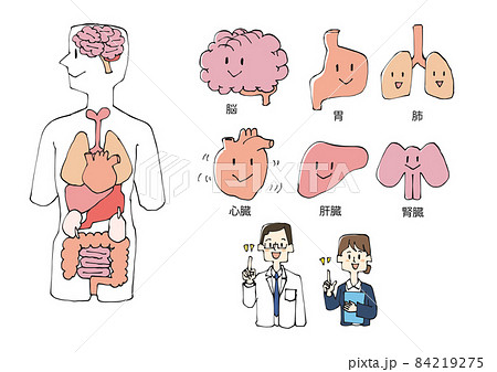 人体と臓器の擬人化イラストセット 84219275