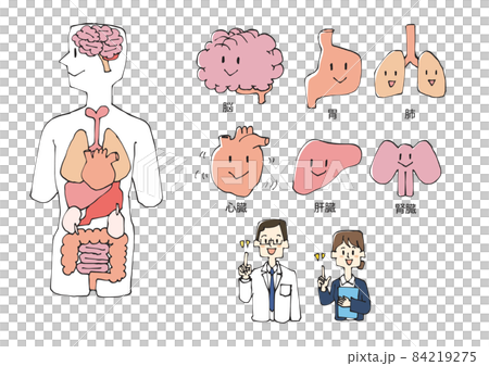 人体と臓器の擬人化イラストセット 84219275
