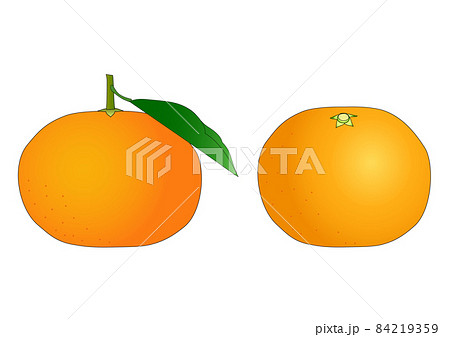 横から見た葉付きのミカンと斜め上から見たミカンのイラストセットのイラスト素材 横から見た葉付きのミカンと斜め上から見たミカンのイラストセットのイラスト素材
