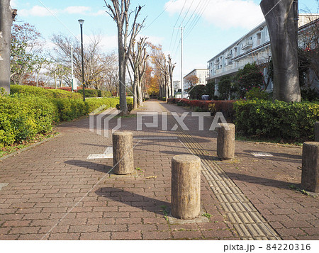 点字ブロックと車止めのある遊歩道 84220316