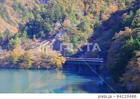 紅葉の天竜川に沿って走る特急伊那路 紅葉の天竜川に沿って走る特急伊那路 84220486