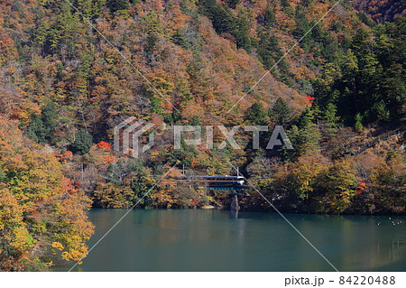 紅葉の天竜川に沿って走る特急伊那路 84220488
