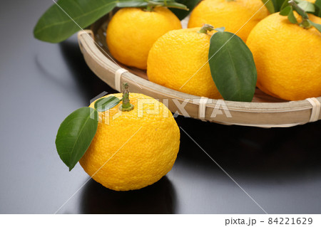 柚子 柚子 84221629