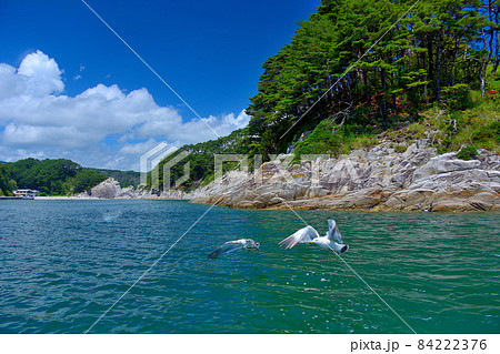浄土ヶ浜・日出島を進む観光さっぱ船から眺める浄土ヶ浜・東北・岩手県宮古市(1) 浄土ヶ浜・日出島を進む観光さっぱ船から眺める浄土ヶ浜・東北・岩手県宮古市(1) 84222376