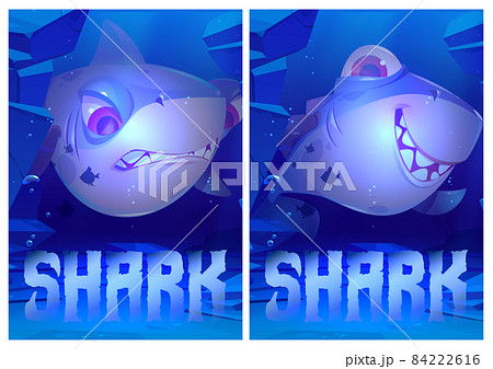 Angry and happy shark underwater in ocean 84222616