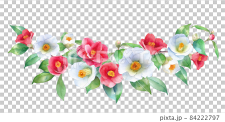 紅白のツバキの水彩イラスト。装飾フレーム。ヤブツバキ。  84222797