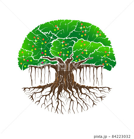 vibrant banyan tree image 84223032
