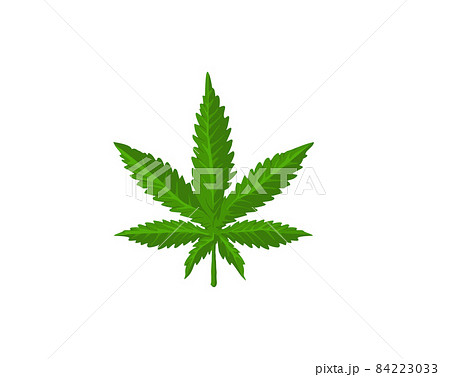 cannabis leaf vector logo design template 84223033
