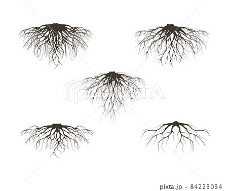 various of roots vector collections 84223034