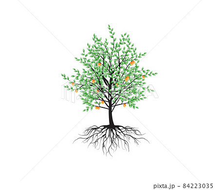 decorative tree vector illustrations isolated on white. 84223035