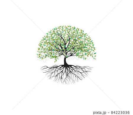 family tree vector image isolated family tree vector image isolated 84223036