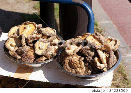 干し椎茸 天日干し 干し椎茸 天日干し 84223500