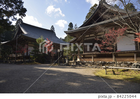 五大堂と毘沙門堂 神護寺 五大堂と毘沙門堂 神護寺 84225044