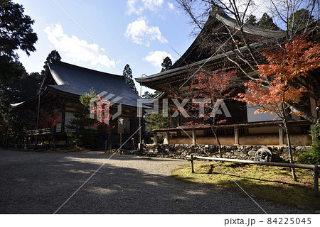 五大堂と毘沙門堂 神護寺 五大堂と毘沙門堂 神護寺 84225045