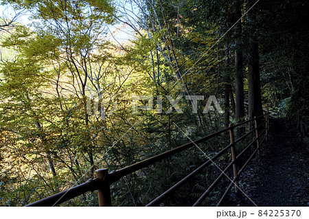 静岡県川根本町の接阻峡の晩秋 84225370
