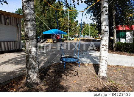 An empty swing between two birches in a children's park 84225459