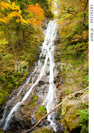 奥秩父丸神の滝 84226283