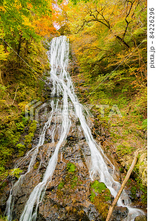 奥秩父丸神の滝 84226296