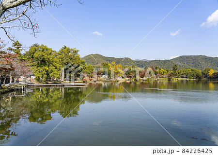 秋の大覚寺（京都）大沢池エリアの展望 84226425