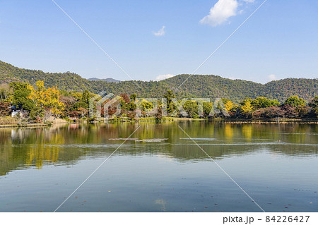 秋の大覚寺（京都）大沢池エリアの展望 84226427