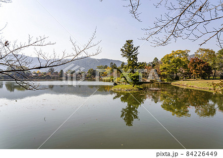秋の大覚寺(京都)大沢池エリアの展望 秋の大覚寺(京都)大沢池エリアの展望 84226449