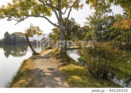 秋の大覚寺(京都)大沢池エリアの展望 秋の大覚寺(京都)大沢池エリアの展望 84226458