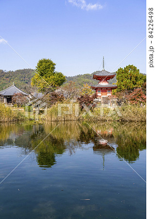秋の大覚寺（京都）放生池から望む心経宝塔 84226498