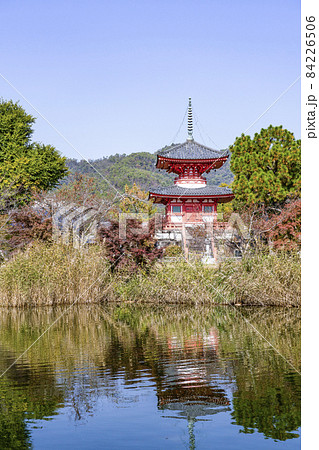 秋の大覚寺（京都）放生池から望む心経宝塔 84226506