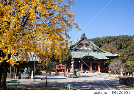 大光院 開山堂と大銀杏 群馬県太田市 大光院 開山堂と大銀杏 群馬県太田市 84226959