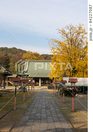 大光院の境内 群馬県太田市 大光院の境内 群馬県太田市 84227087