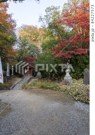 大光院弁財天 群馬県太田市 大光院弁財天 群馬県太田市 84227573