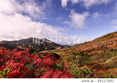 白山の秋 84227601