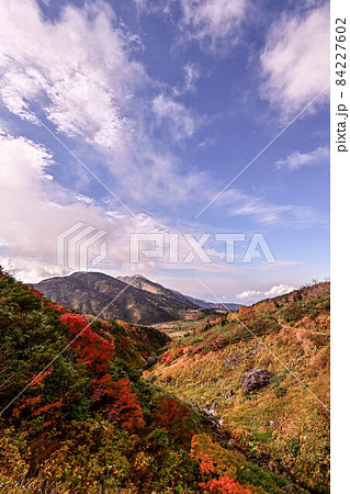 白山の秋 84227602