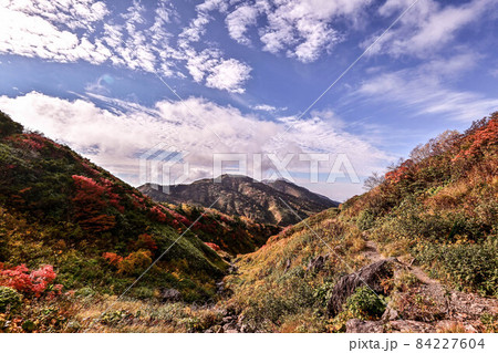 白山の秋 84227604