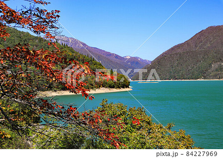 岐阜　飛騨　御母衣ダム　エメラルドグリーン　湖　ブルー　空　紅葉 84227969