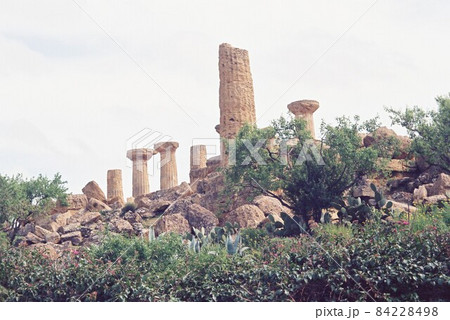 アグリジェント アグリジェント 84228498