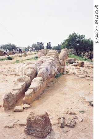 アグリジェント アグリジェント 84228500