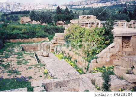 アグリジェント アグリジェント 84228504