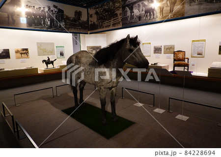 馬の博物館 馬の博物館 84228694