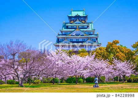 大阪城と西の丸庭園の桜の写真素材