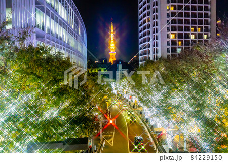 夜景イルミネーション・クリスマスツリー六本木ヒルズ 84229150